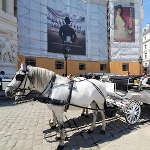 Sobieski Stefansdom Apartamento
